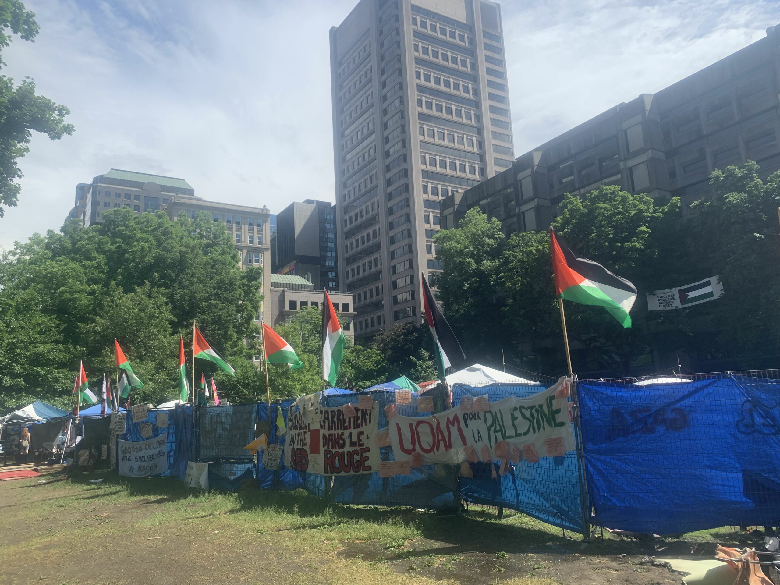 Campus protest camp with Palestine flags flying eye-level view with cityscape background