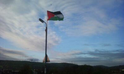 Palestine flag mounted on lamppost