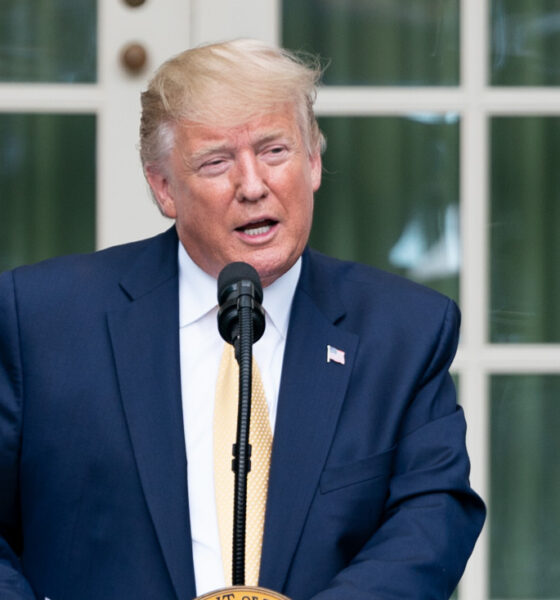 President Donald Trump speaks in front of the Rose Garden at the White House