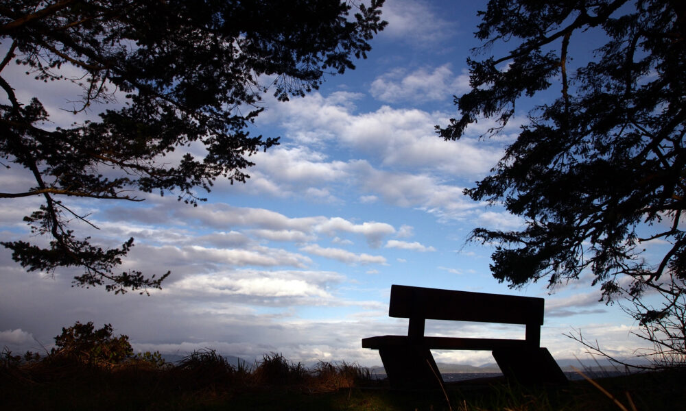 Trees, a bench, and clouds near sunset