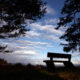 Trees, a bench, and clouds near sunset