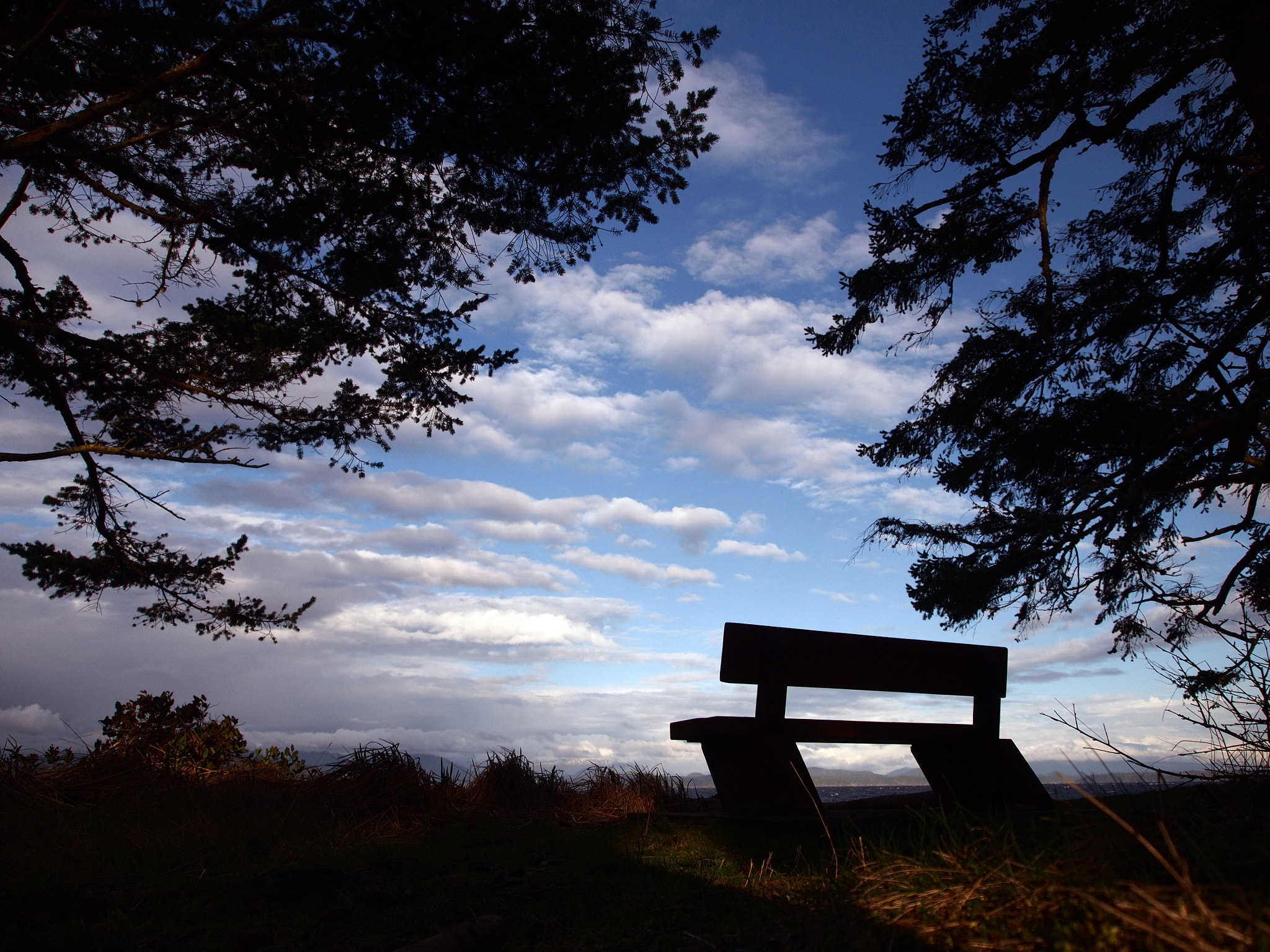 Trees, a bench, and clouds near sunset