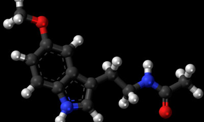 Melatonin ball and stick model