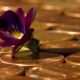 Penny coins and a flower (maybe an orchid) on top of them.