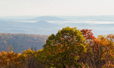 Shenandoah National Park