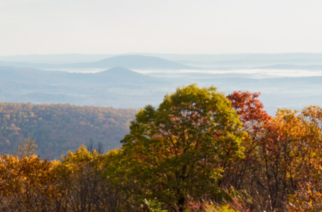 Shenandoah National Park