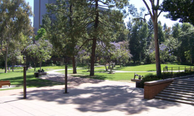 UCLA (University of California at Los Angeles) Franklin Murray Sculpture Garden