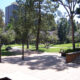 UCLA (University of California at Los Angeles) Franklin Murray Sculpture Garden