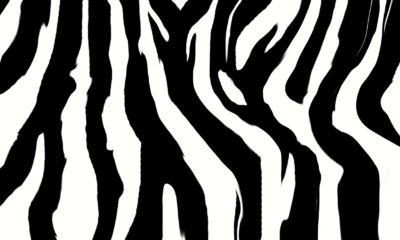 Zebra stripes