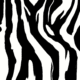 Zebra stripes