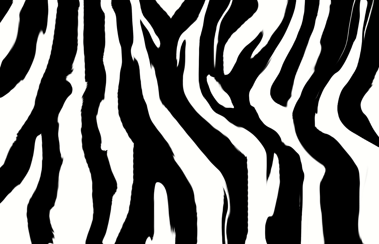 Zebra stripes