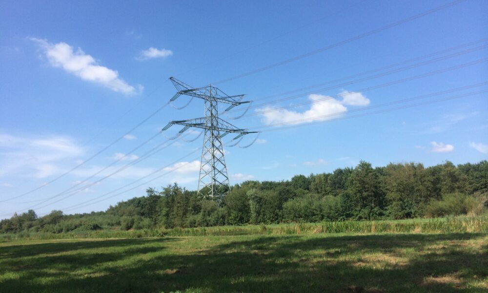 A high-tension electric wire tower rises out of a stand of trees overlooking a meadow in foreground