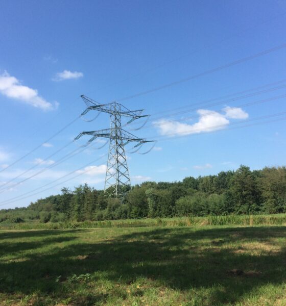 A high-tension electric wire tower rises out of a stand of trees overlooking a meadow in foreground