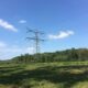 A high-tension electric wire tower rises out of a stand of trees overlooking a meadow in foreground