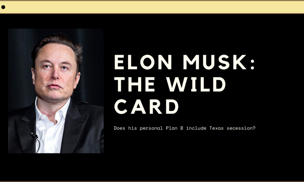 Elon Musk, the wild card in American politics