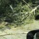 Hurricane Helene deadfall in Valdosta