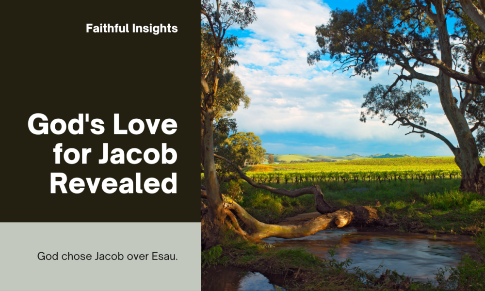 God Hated Esau But Loved Jacob – How So?