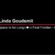 Linda Goudsmit discusses the War on America on Dissent Television with host Rich Swier.