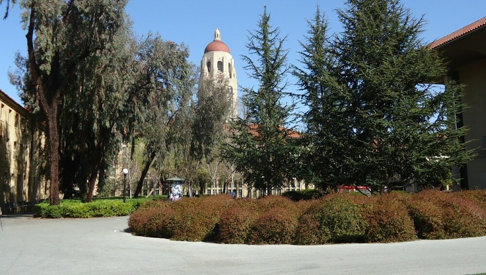 Stanford University, looking toward Hoover Tower