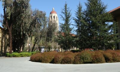 Stanford University, looking toward Hoover Tower