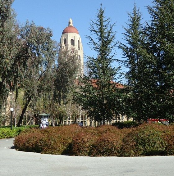 Stanford University, looking toward Hoover Tower