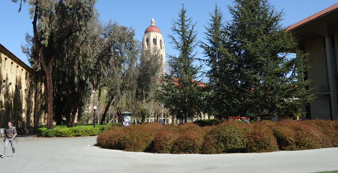 Stanford University, looking toward Hoover Tower