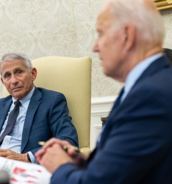 Anthony Fauci briefs Joe Biden