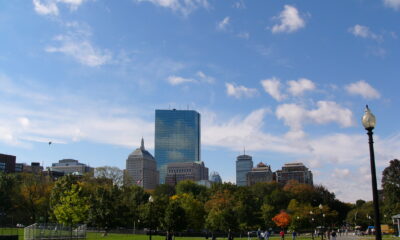 Boston skyline looking from parkland near the Charles River