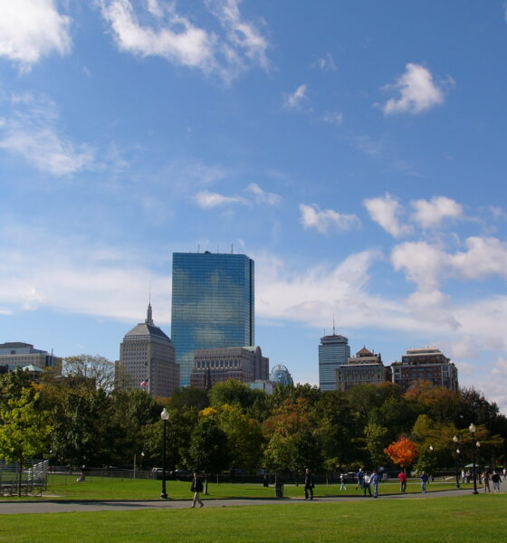 Boston skyline looking from parkland near the Charles River