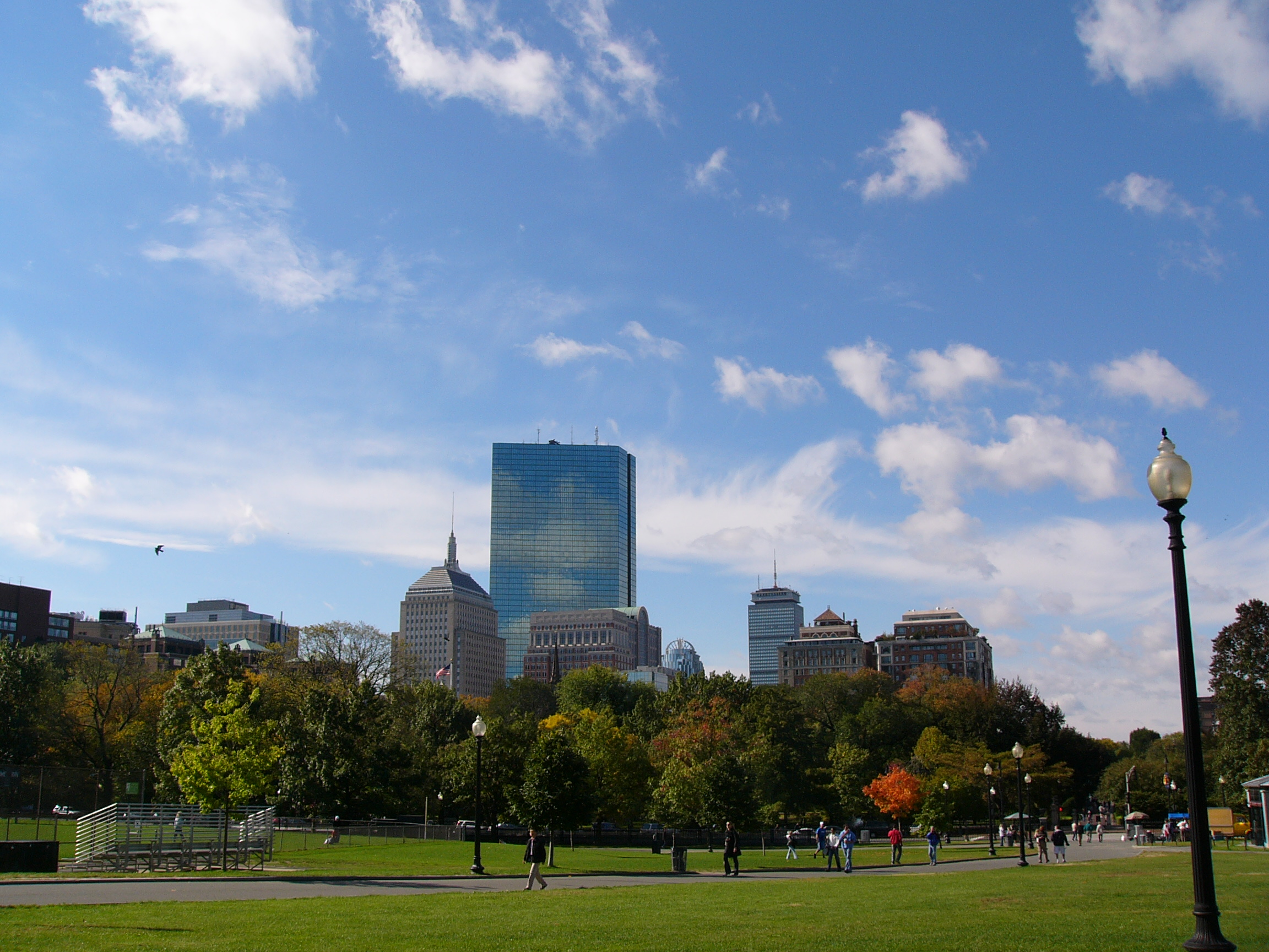 Boston skyline looking from parkland near the Charles River