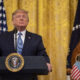 President Donald Trump frontal portrait with gold backdrop