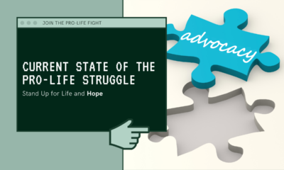 Pro-life struggle – the current state