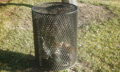 A trash can in a public park