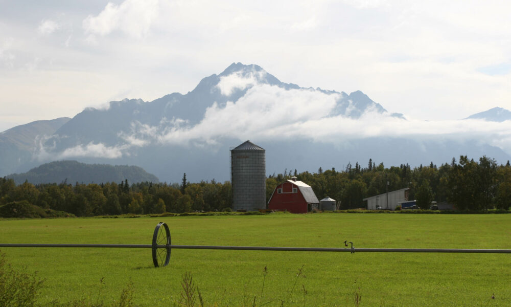 A farm in the Matanuska Valley near Palmer, Alaska