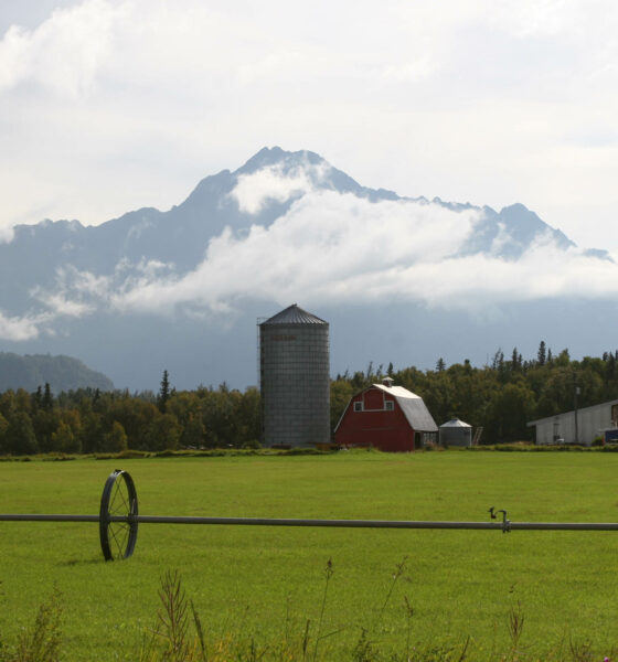 A farm in the Matanuska Valley near Palmer, Alaska