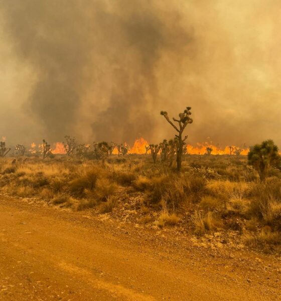 Flames on the York Fire of July 23, 2023