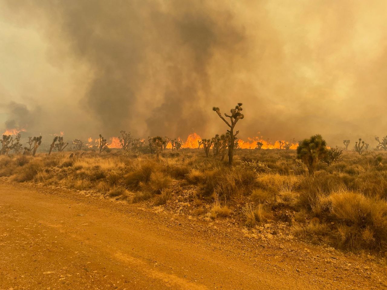 Flames on the York Fire of July 23, 2023