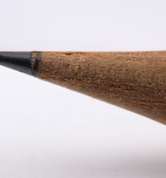 A sharp pencil, symbol of school choice