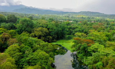 River in Africa near Kilimanjaro Airport