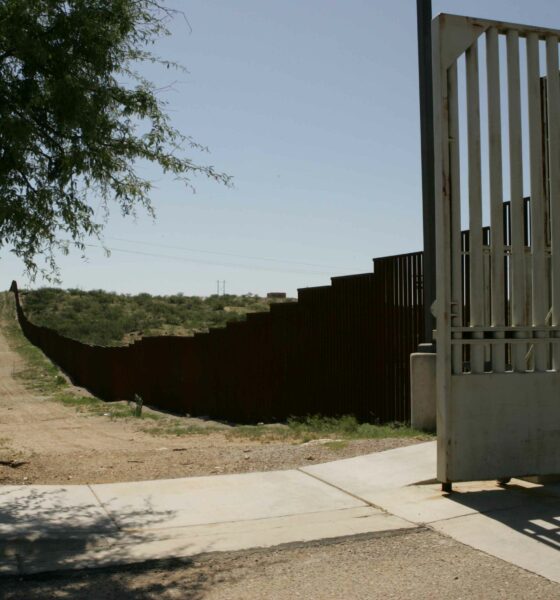 Border fence of metal