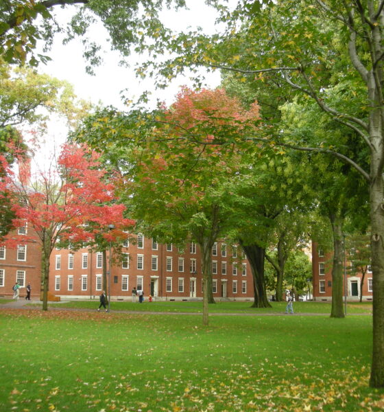 Harvard Yard
