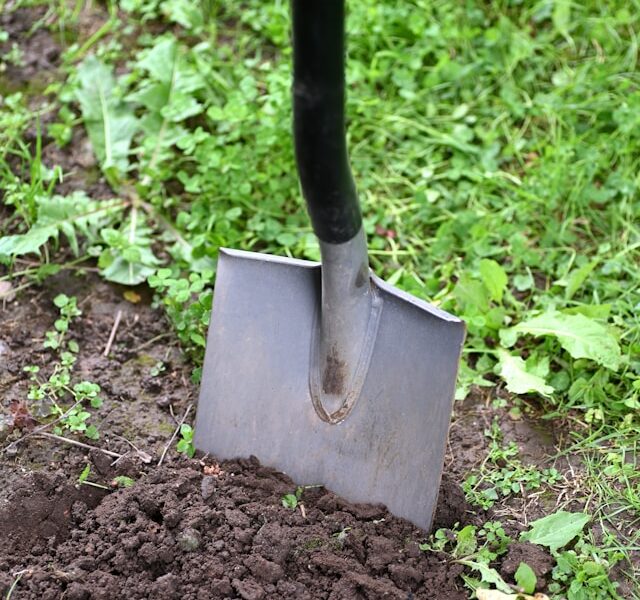 Shovel breaking ground - photo courtesy Andres Siimon