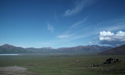 Arctic rivers and streams
