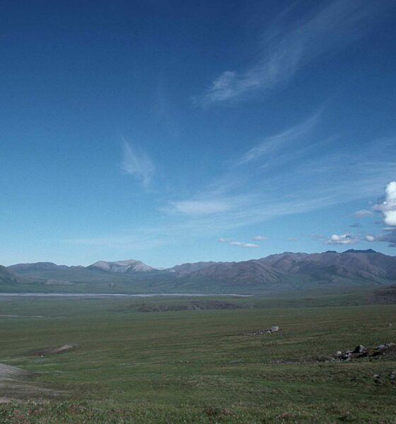 Arctic rivers and streams