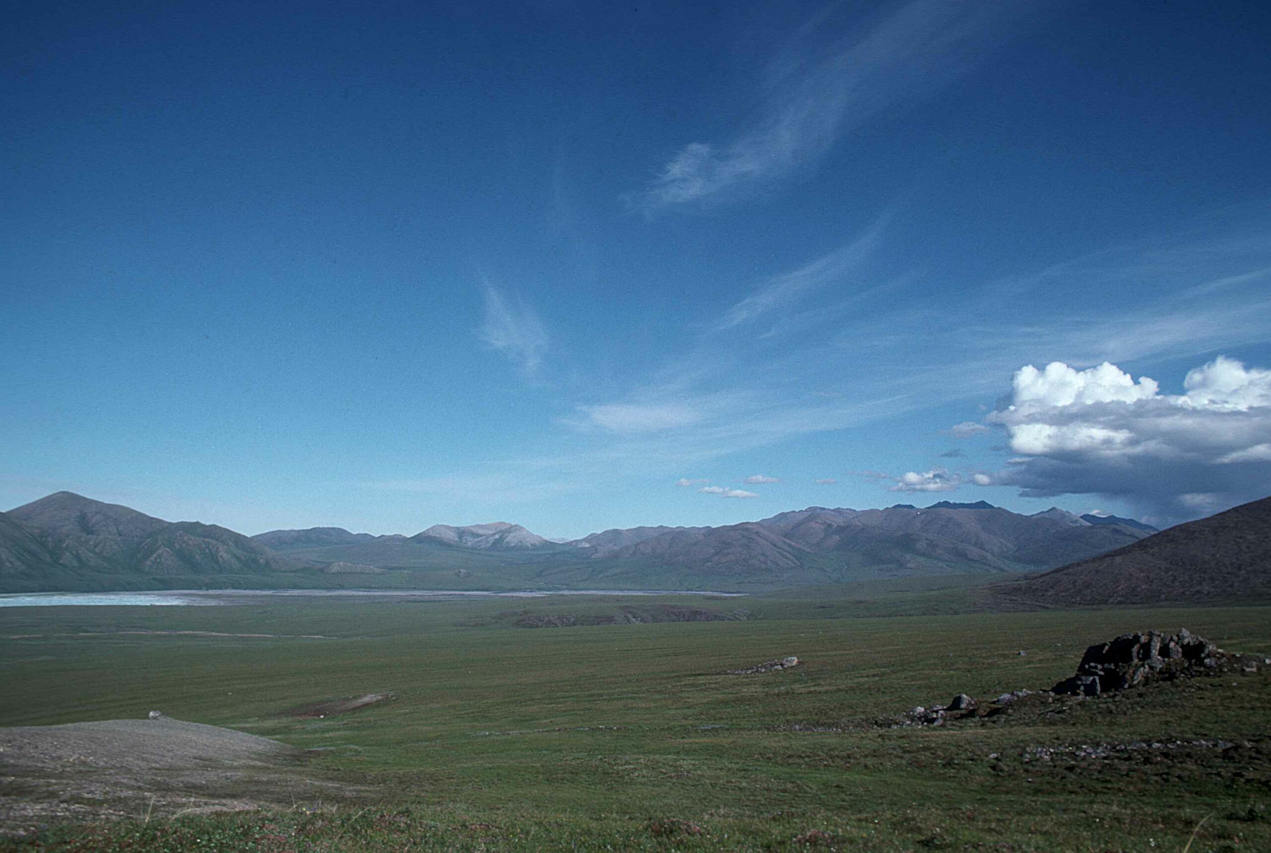 Arctic rivers and streams