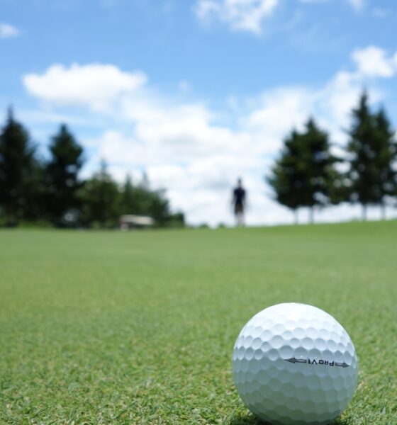 A golf ball on the green