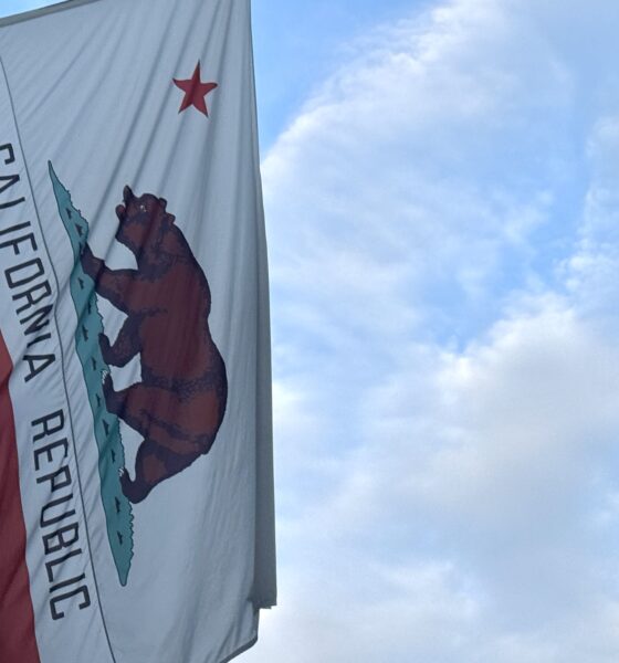 California state flag