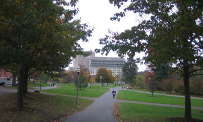 UMass Amherst