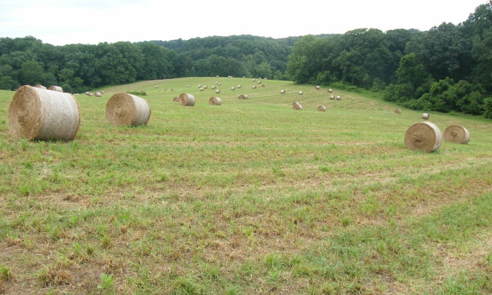 Hay bales as a symbol of rural America
