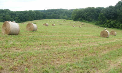 Hay bales as a symbol of rural America
